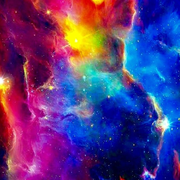 Meet your Posher, Samantha - Picture 1 of 1